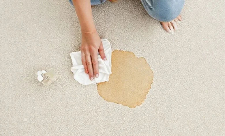 Halıdaki Çay Lekesi İçin En Pratik Çözüm Nedir?