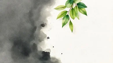 Küf lekesi temizliğinde çay ağacı yağı: Doğal ve etkili çözüm.