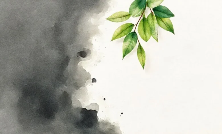 Küf lekesi temizliğinde çay ağacı yağı: Doğal ve etkili çözüm.