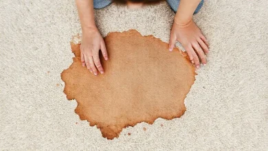 Halıdaki kurumuş kahve lekesi. En etkili leke çıkarma yöntemleri rehberi.