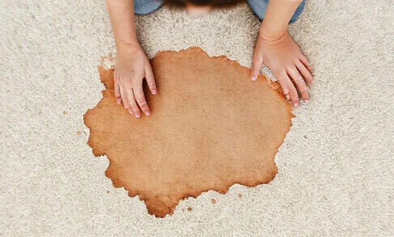 Halıdaki kurumuş kahve lekesi. En etkili leke çıkarma yöntemleri rehberi.