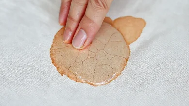 Kurumuş Yağlı Boya Lekesi Nasıl Kolayca Çıkar?