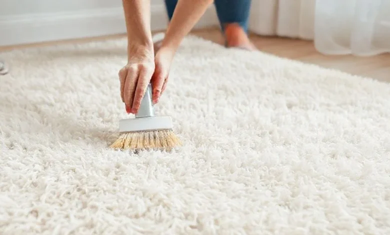 Shaggy Halı Temizliği Nasıl Yapılır?